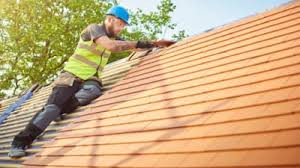 Best Roof Ventilation Installation  in Crested Butte, CO