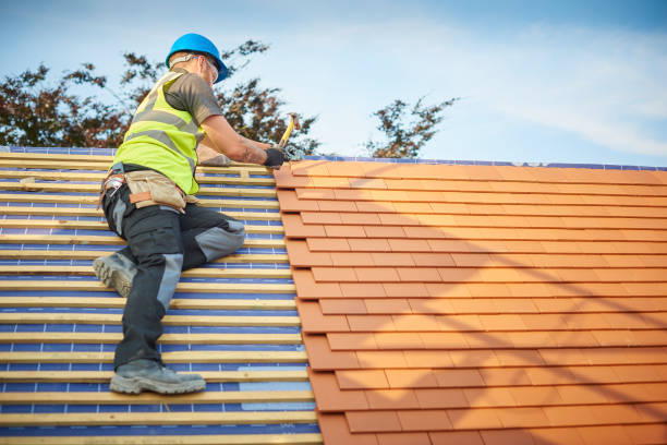 Best Metal Roofing Installation  in Crested Butte, CO
